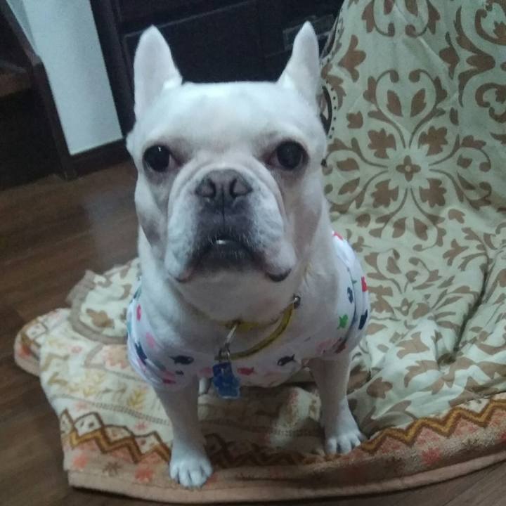 73fd75b4 1761 4974 a6f2 4eea989ad44d