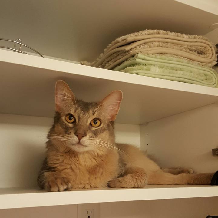 73fd7bf5 809d 47cf a4fb db3d6a712544