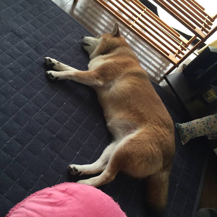 73fd8da0 f8a8 456b 9f57 2a3801b60834