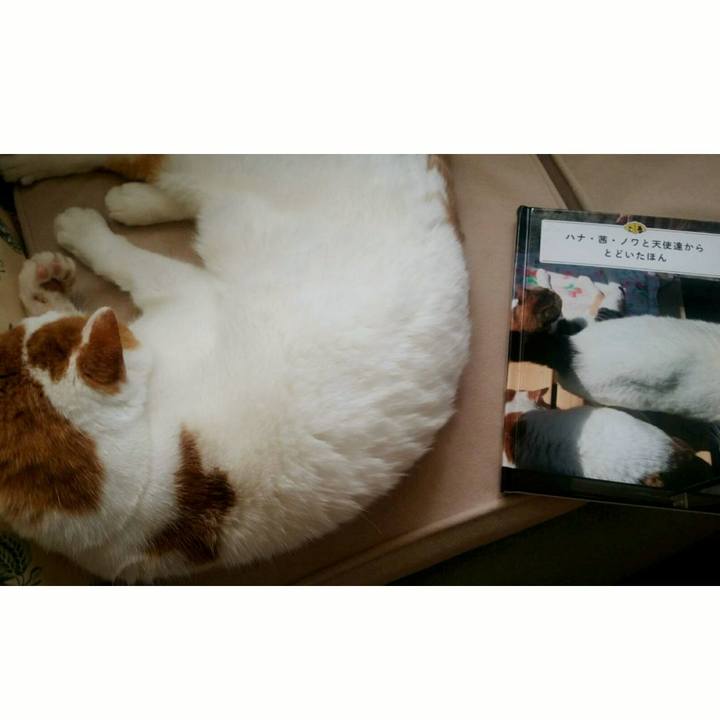 73fe2e3b ae4b 469b 8be8 6ec45abb7eea