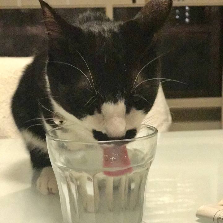 73ff5945 dbed 42b7 862b 0289d06fd2c0