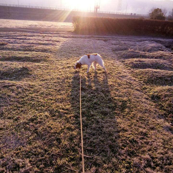 73ffbe1a edfb 4f95 9622 0202b21cfcf6