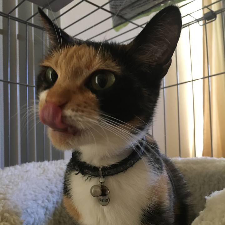 74008077 172a 4697 aa5b ac3565901b8b