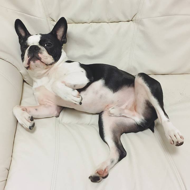 740083ef 217c 4c78 ac5d 22a7870c942c