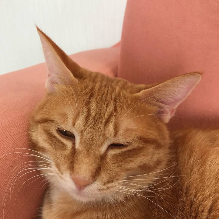 7400a34d 00ba 4223 a79e eb7f000c86b7