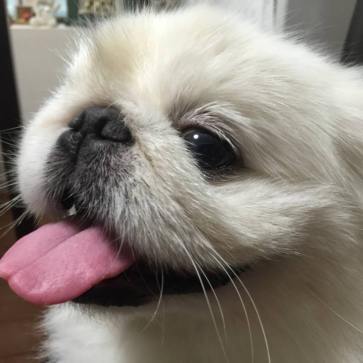 740105cd dffe 4da4 b441 963d767fa371