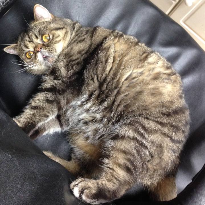 74012bd1 d24f 4751 a265 c47add4d5d8e