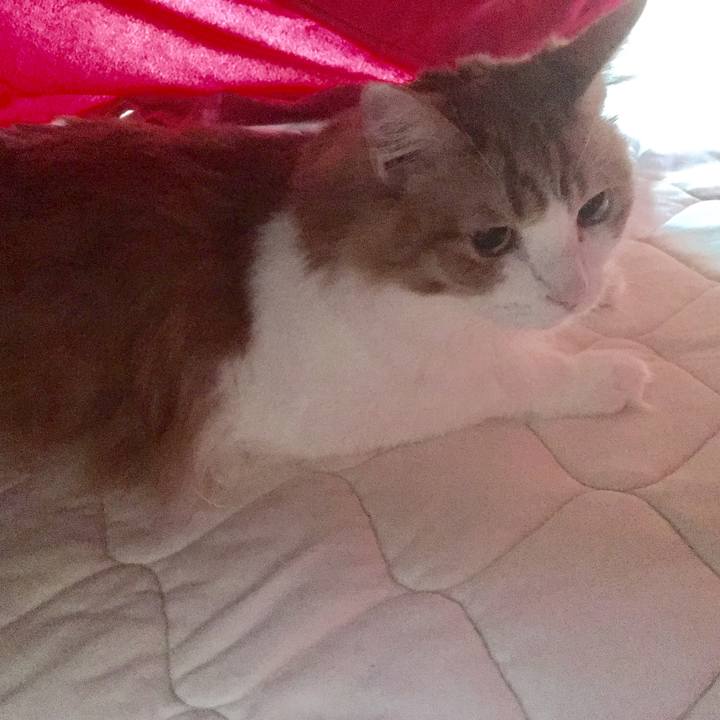 7401de56 99c4 4248 adcc 95953f7bfb93