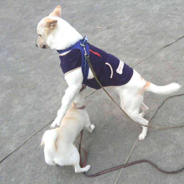 7402bf5a fec9 4e50 830d 7dced528eace