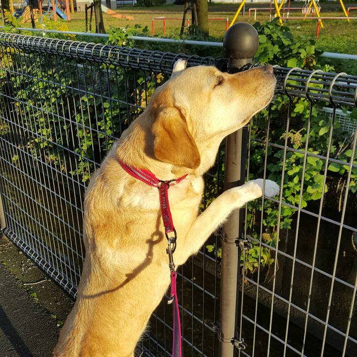 7403183d 677e 4779 81bd bd39c82381f0