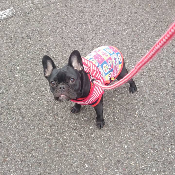 7403d7ee 52f5 4365 b21c 98faaf30e469