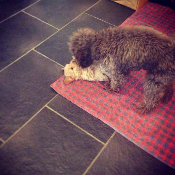 74042073 1fdb 4729 99c5 e3e77d3ebcf3