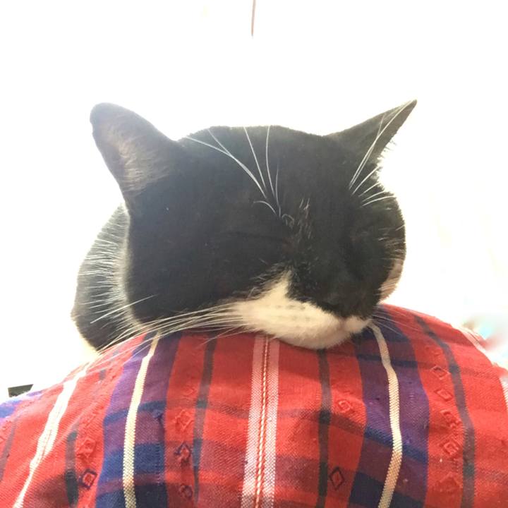 74045965 e9d9 4aff 8544 adea6ea8f9a2