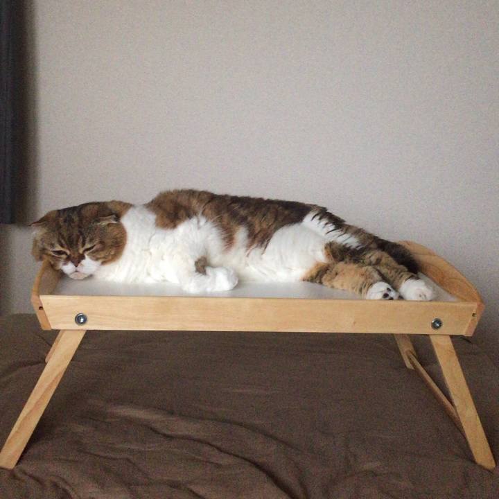 7404d5f0 e866 477a 97cb 4fe6c0743e62