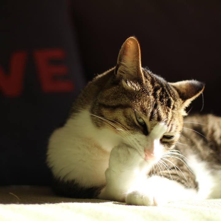 7405a22b d187 4a91 935c b14e71737a54