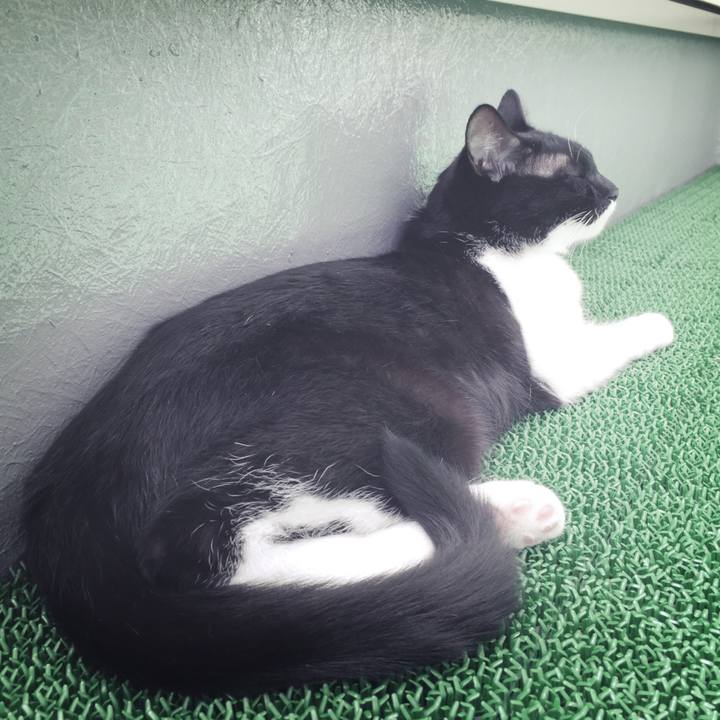 7405f1d9 98d5 4c06 817b e8426c302ba3