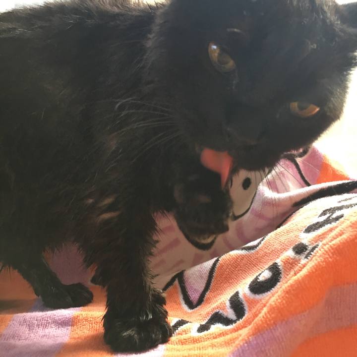 74060a97 9221 4d05 b20d 8b1bd6d47c3e