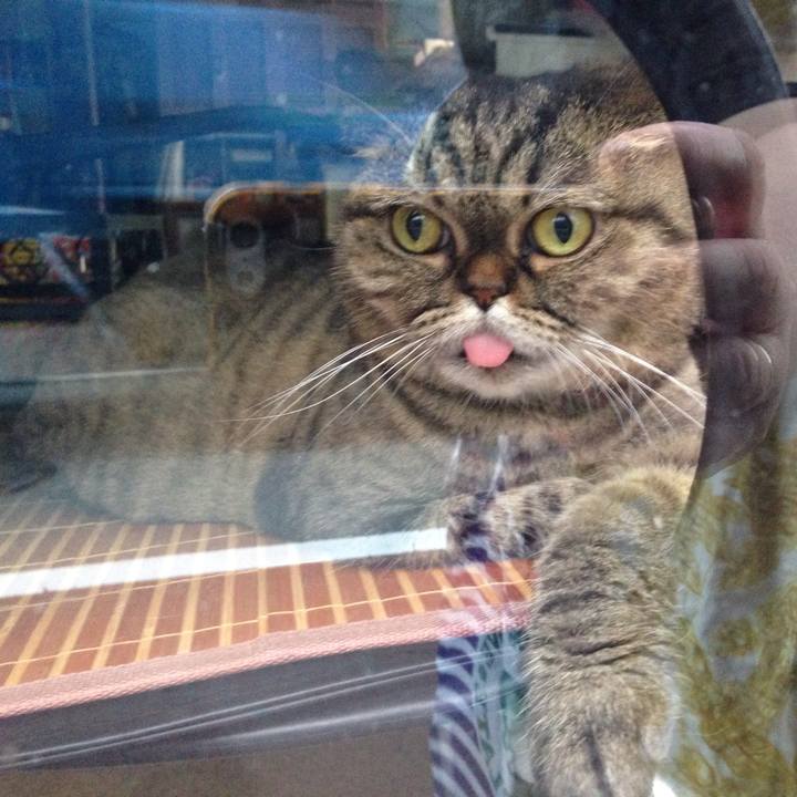 7406676c 40ef 42a5 89f3 dad13e43fa8a