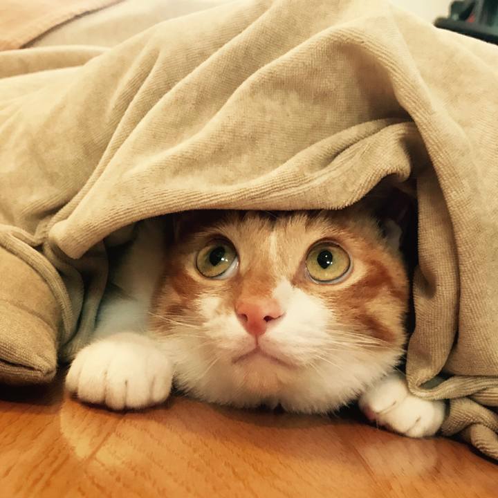 74066a22 828d 4702 9a99 f6099b6439e3