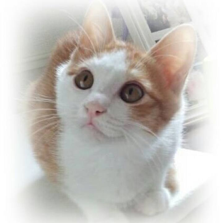 74068f30 f28b 4cdb 8eeb 45ceb4004cb7