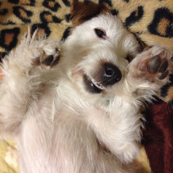 7406f8f3 18e4 43c2 b359 b6b6846005c9