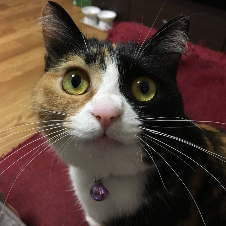 740726eb 468e 4ac0 8151 36adda9bf8d4