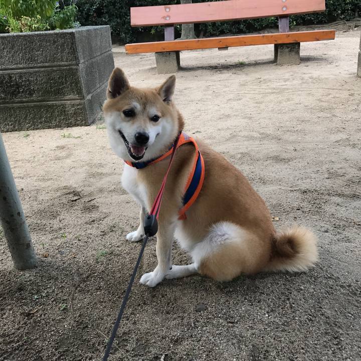 74079c64 0fce 48ae 9398 fbf6d892c376