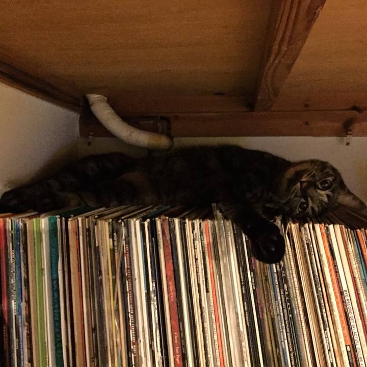 7408086c e700 455d a8af 0bb341aef4b5