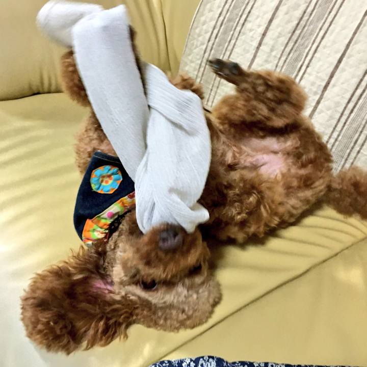 740895cc d326 49f0 a5df d4eb6bbfffb7