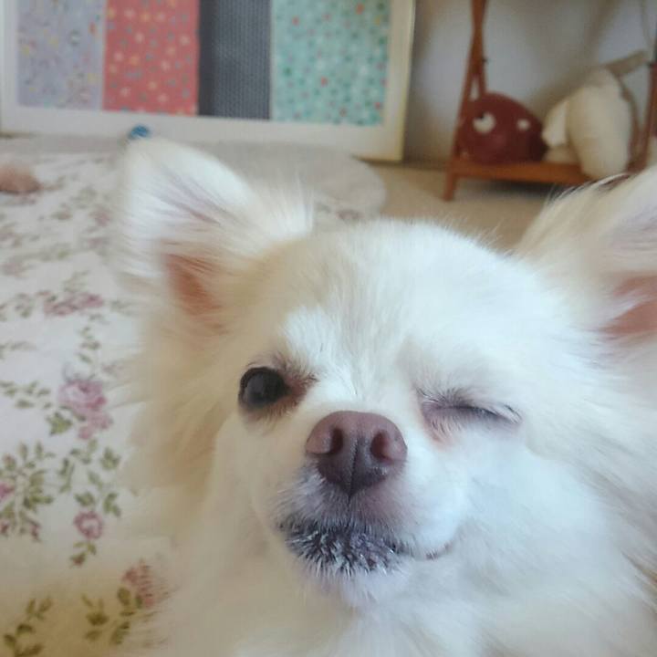 7408eef7 296a 4952 8111 c9f7caf5b508