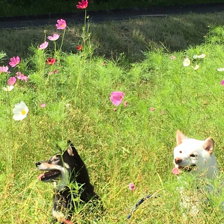 74095cd8 643b 4b14 9536 52e4ab1f7564