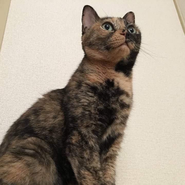 7409f4c9 6d30 473f b672 7d3e2012f041