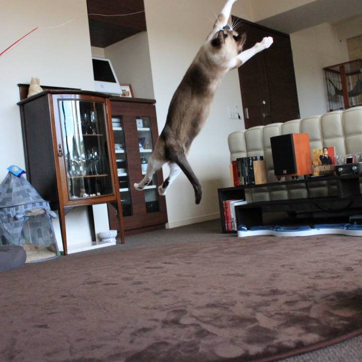 740a0e7b 3c51 47c7 a4d2 47d9c55c176f