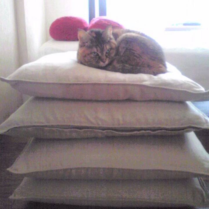 740a4bb5 726a 4384 b6f6 2231c7640fc7