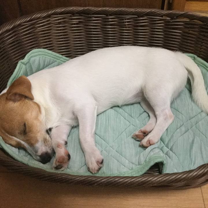 740a559e 3ab6 4ee8 8d76 ab6560ee5e13