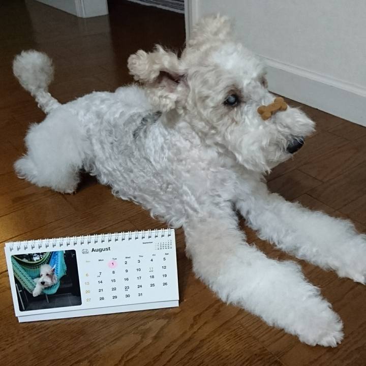 740b29d6 5d3d 4642 a83e 621a7b0fc2c4