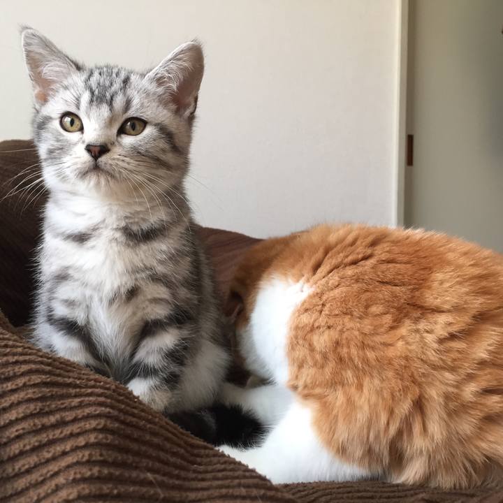 740b2a8b c2dc 4b48 a9ff b5c1b8c91b5e