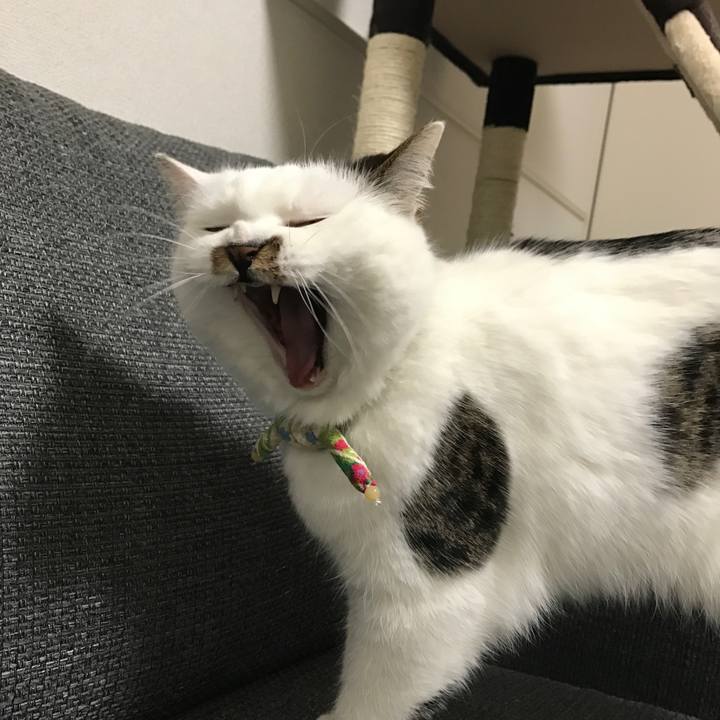 740b8bc1 f1d2 4c8c b8fc 322c7a21ee73