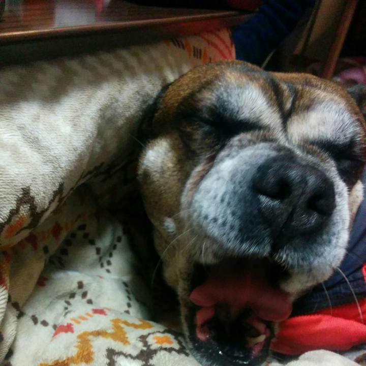 740ba20e fe76 43d4 882d b98ab974f133