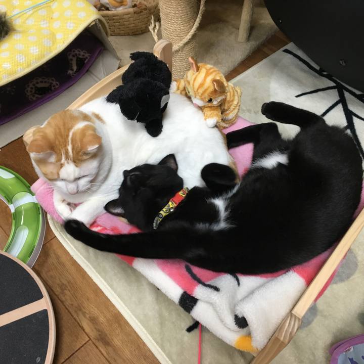 740c12b0 6dbd 44ef 9f77 3243664be3da