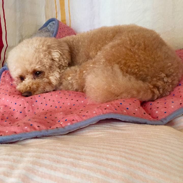 740c31e9 3597 4944 a2df 47bcfab0420f