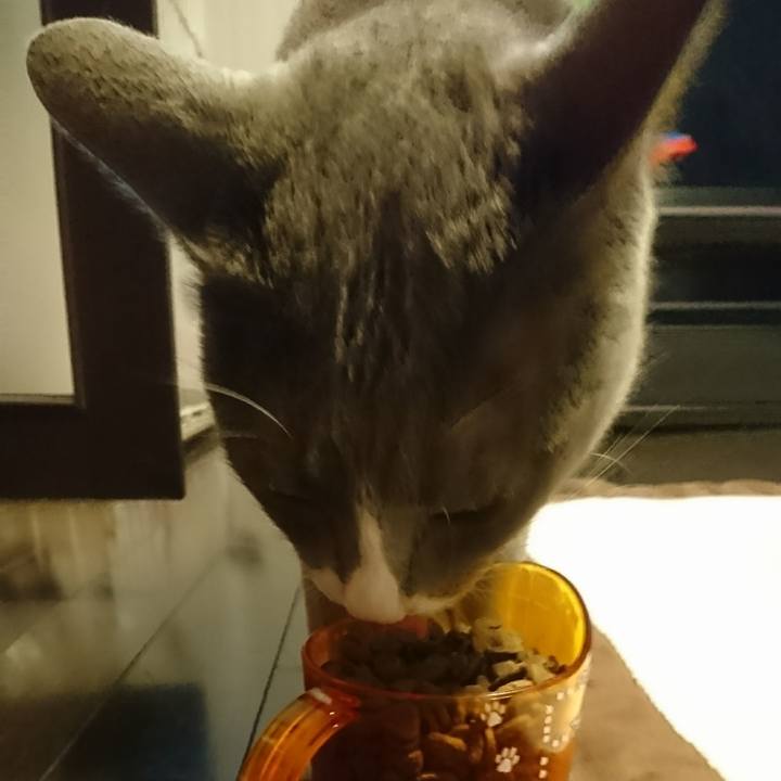 740c577e 8048 4b9f 8916 7909c94c42b5