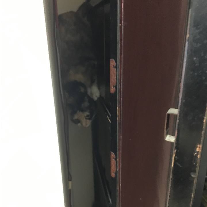 740d0f1b de10 488d a69f e7a028163d38