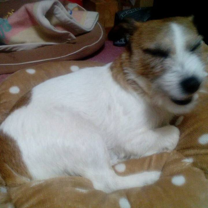 740d1797 596b 407f a8ae 15eb1dd72817