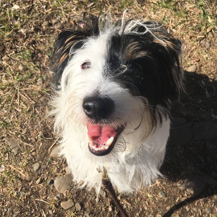 740d24ca 4b19 49ad a457 dfdc99c2f959