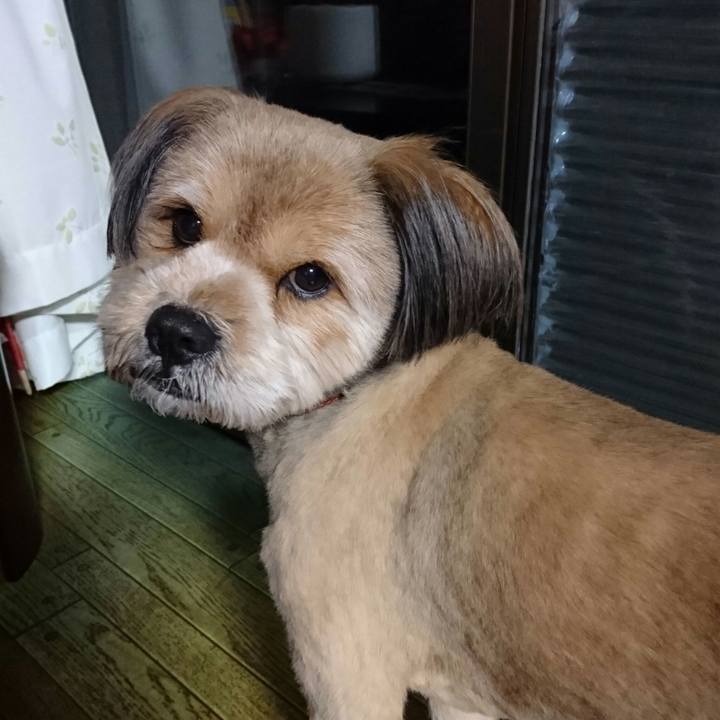 740d801d 1a47 493c acb6 9b041fc9a983