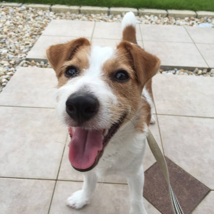 740e34e2 8e6c 4431 a025 a12f8a072d7a