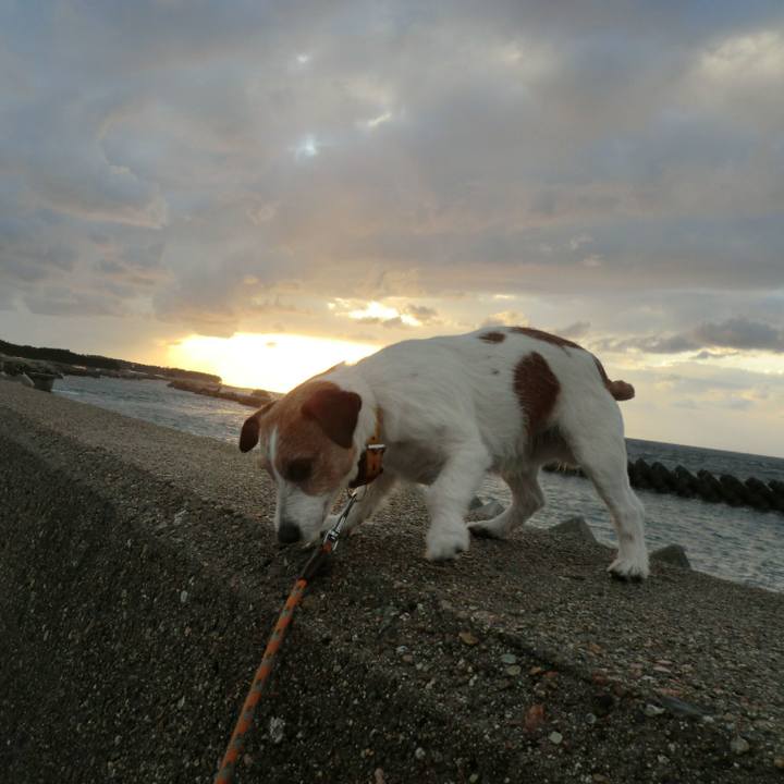 740e6a10 b5be 4103 897b a52c6acea4bc