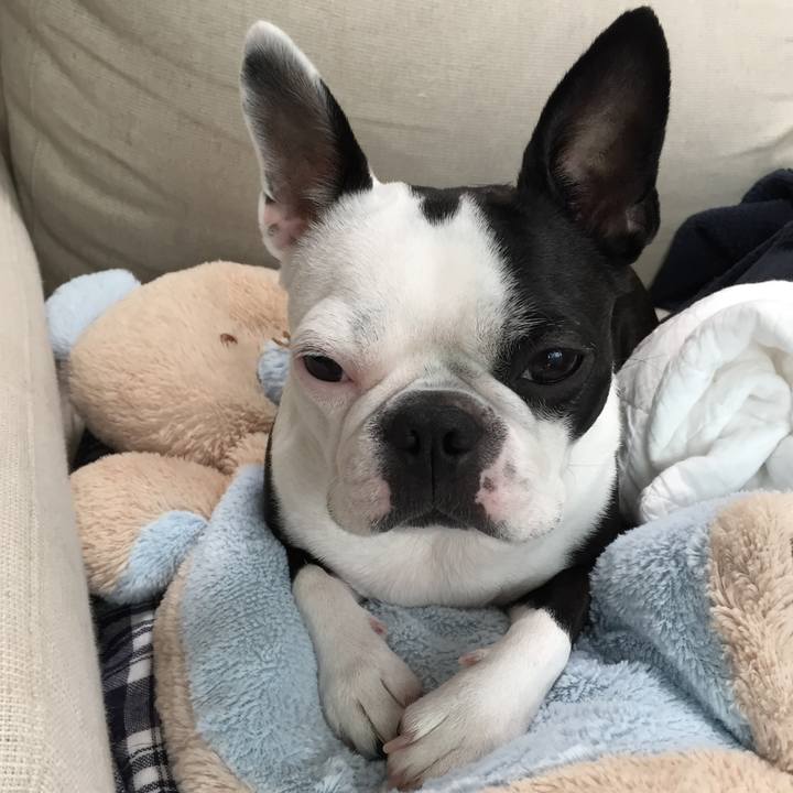 740e80bc e977 41a7 962f 01d14a3fe805