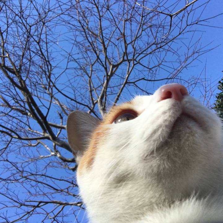 740eba73 9572 4362 8120 387fd41131f2